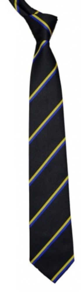 ROYAL LIBERTY UPPER SCHOOL TIE, Royal Liberty