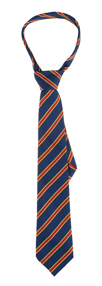 ST PETERS BRENTWOOD TIE, St Peter's Brentwood