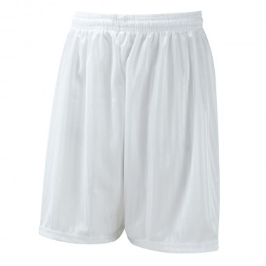 SHADOW STRIPE SHORTS - WHITE, PE Shorts