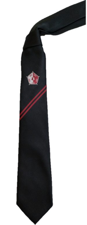 BRITTONS TIE YR 8-11, Brittons