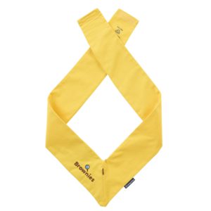 BROWNIE SASH BAG, Brownies